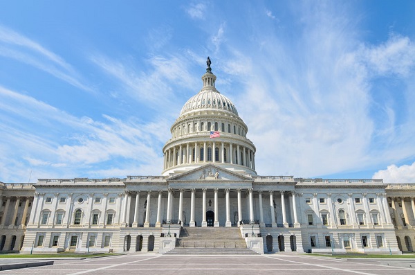 Photo of The Capitol in Washington DC