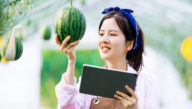Young woman examining a melon with one hand and holding a computer tablet in the other